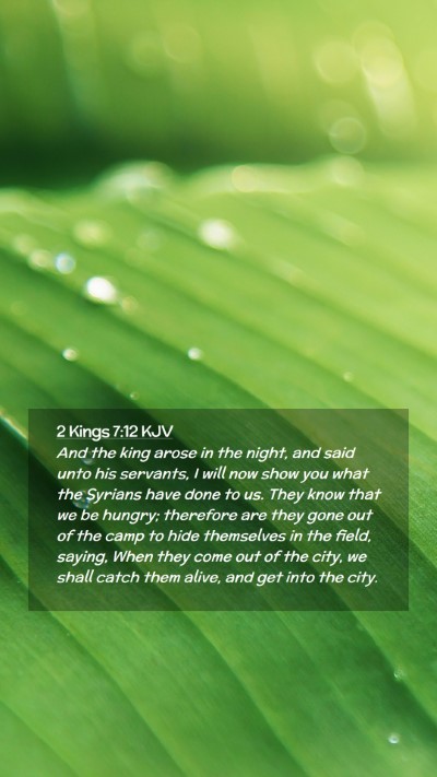Picture 02 - 2 Kings 7:12 KJV Mobile Phone Wallpaper - And the king arose in the night, and said unto - Mobile Bible Verse Wallpaper