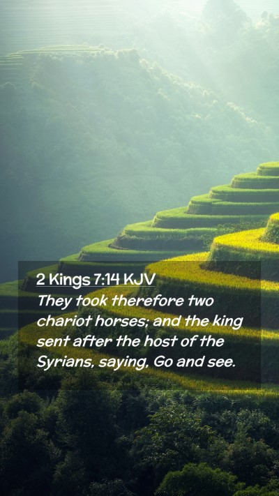 Picture 02 - 2 Kings 7:14 KJV Mobile Phone Wallpaper - They took therefore two chariot horses; and the - Mobile Bible Verse Wallpaper