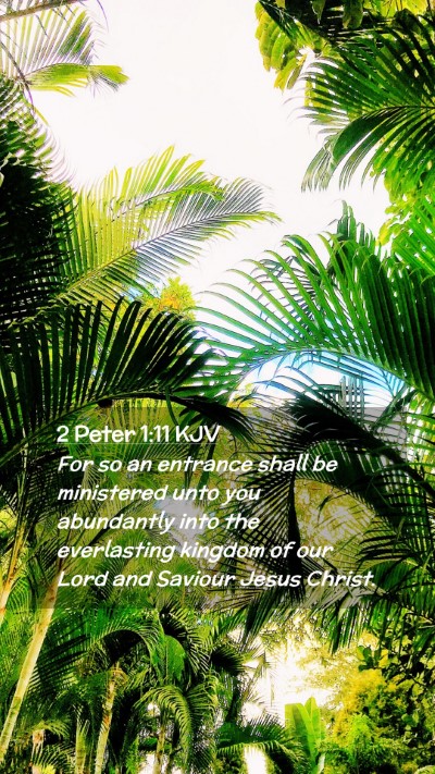 Picture 02 - 2 Peter 1:11 KJV Mobile Phone Wallpaper - For so an entrance shall be ministered unto you - Mobile Bible Verse Wallpaper
