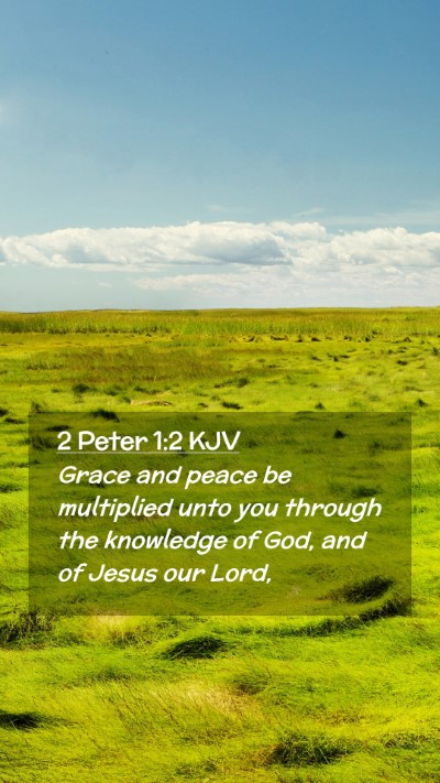 Picture 02 - 2 Peter 1:2 KJV Mobile Phone Wallpaper - Grace and peace be multiplied unto you through - Mobile Bible Verse Wallpaper
