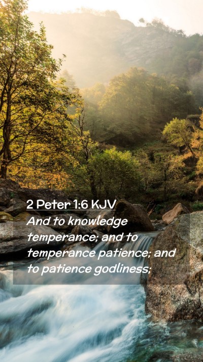Picture 02 - 2 Peter 1:6 KJV Mobile Phone Wallpaper - And to knowledge temperance; and to temperance - Mobile Bible Verse Wallpaper