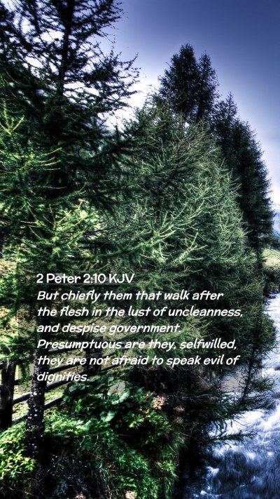 Picture 02 - 2 Peter 2:10 KJV Mobile Phone Wallpaper - But chiefly them that walk after the flesh in the - Mobile Bible Verse Wallpaper