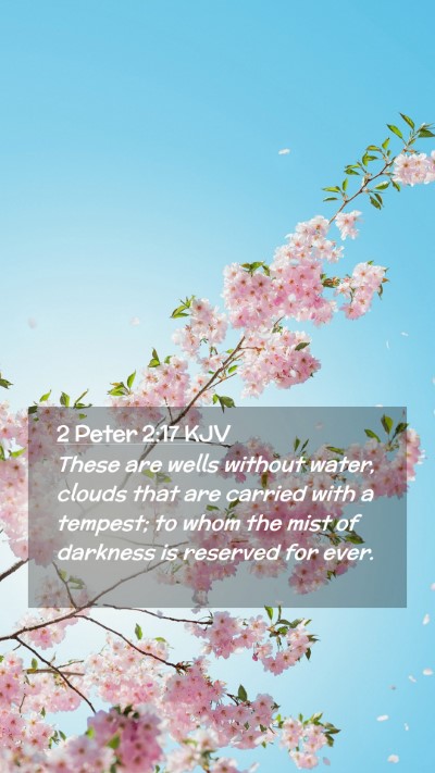 Picture 02 - 2 Peter 2:17 KJV Mobile Phone Wallpaper - These are wells without water, clouds that are - Mobile Bible Verse Wallpaper