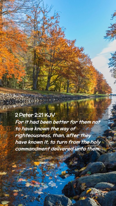 Picture 02 - 2 Peter 2:21 KJV Mobile Phone Wallpaper - For it had been better for them not to have known - Mobile Bible Verse Wallpaper