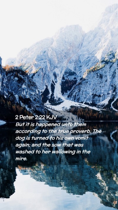 Picture 02 - 2 Peter 2:22 KJV Mobile Phone Wallpaper - But it is happened unto them according to the - Mobile Bible Verse Wallpaper