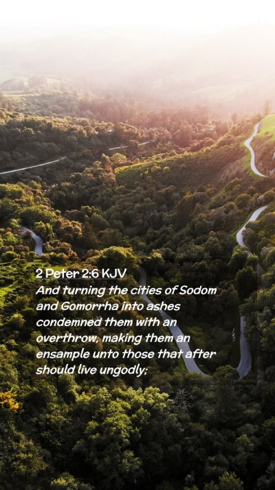 Picture 02 - 2 Peter 2:6 KJV Mobile Phone Wallpaper - And turning the cities of Sodom and Gomorrha into - Mobile Bible Verse Wallpaper