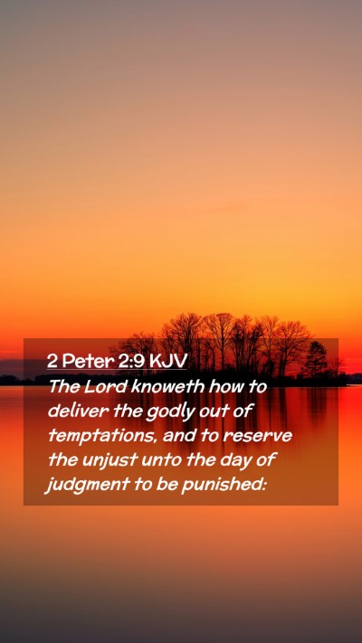 Picture 02 - 2 Peter 2:9 KJV Mobile Phone Wallpaper - The Lord knoweth how to deliver the godly out of - Mobile Bible Verse Wallpaper