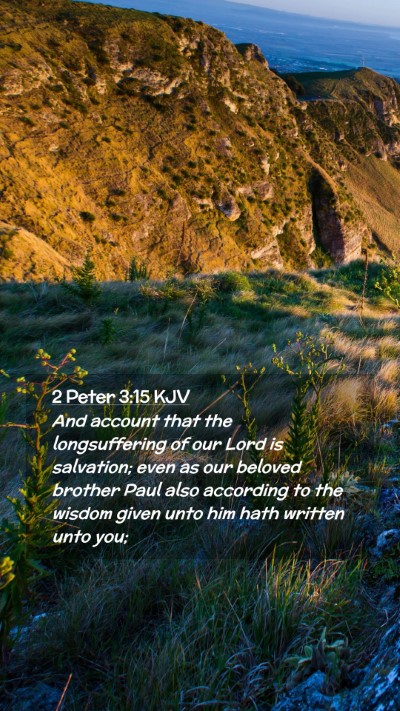 Picture 02 - 2 Peter 3:15 KJV Mobile Phone Wallpaper - And account that the longsuffering of our Lord is - Mobile Bible Verse Wallpaper