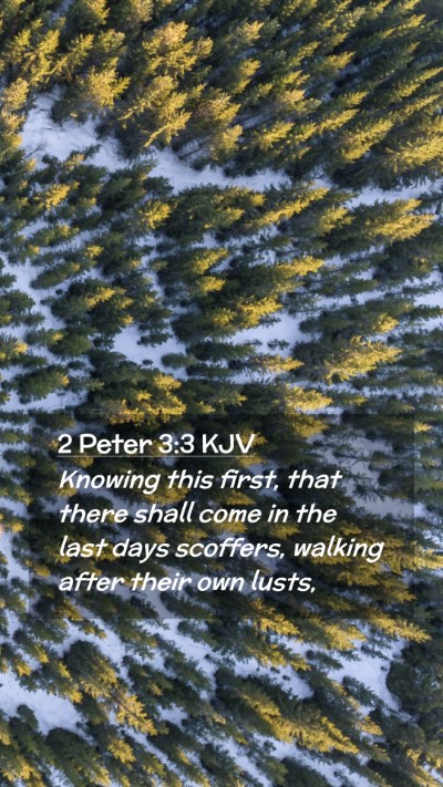 Picture 02 - 2 Peter 3:3 KJV Mobile Phone Wallpaper - Knowing this first, that there shall come in the - Mobile Bible Verse Wallpaper