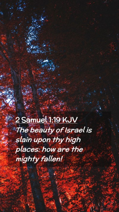 Picture 02 - 2 Samuel 1:19 KJV Mobile Phone Wallpaper - The beauty of Israel is slain upon thy high - Mobile Bible Verse Wallpaper