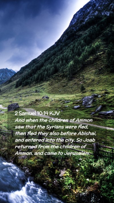 Picture 02 - 2 Samuel 10:14 KJV Mobile Phone Wallpaper - And when the children of Ammon saw that the - Mobile Bible Verse Wallpaper