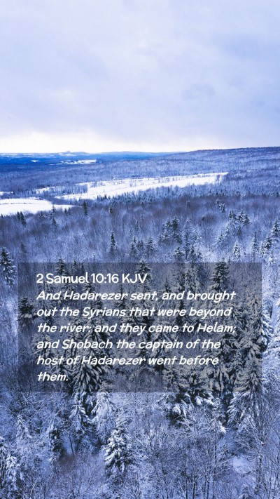 Picture 02 - 2 Samuel 10:16 KJV Mobile Phone Wallpaper - And Hadarezer sent, and brought out the Syrians - Mobile Bible Verse Wallpaper