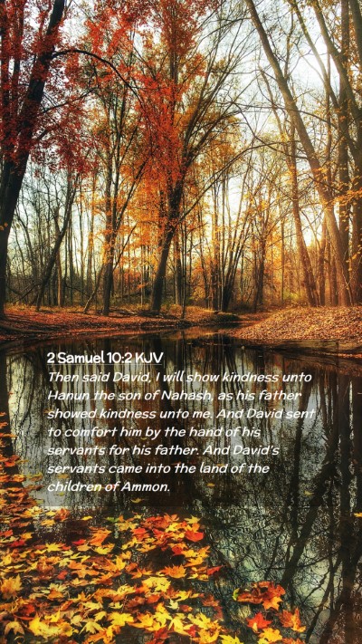 Picture 02 - 2 Samuel 10:2 KJV Mobile Phone Wallpaper - Then said David, I will show kindness unto Hanun - Mobile Bible Verse Wallpaper