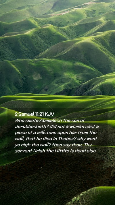 Picture 02 - 2 Samuel 11:21 KJV Mobile Phone Wallpaper - Who smote Abimelech the son of Jerubbesheth? did - Mobile Bible Verse Wallpaper