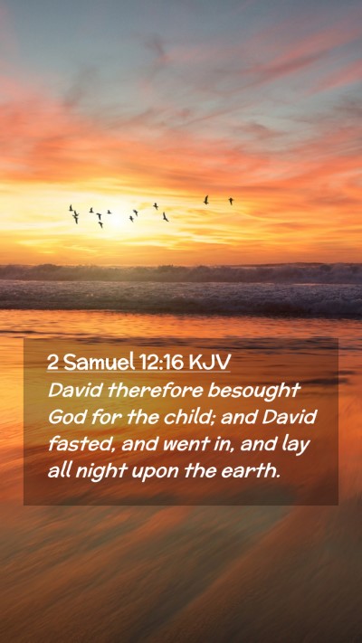 Picture 02 - 2 Samuel 12:16 KJV Mobile Phone Wallpaper - David therefore besought God for the child; and - Mobile Bible Verse Wallpaper