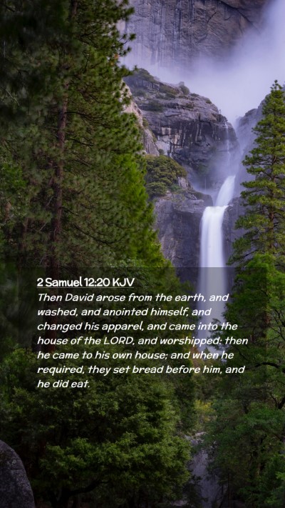 Picture 02 - 2 Samuel 12:20 KJV Mobile Phone Wallpaper - Then David arose from the earth, and washed, and - Mobile Bible Verse Wallpaper