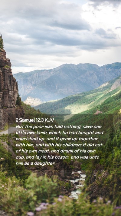 Picture 02 - 2 Samuel 12:3 KJV Mobile Phone Wallpaper - But the poor man had nothing, save one little ewe - Mobile Bible Verse Wallpaper
