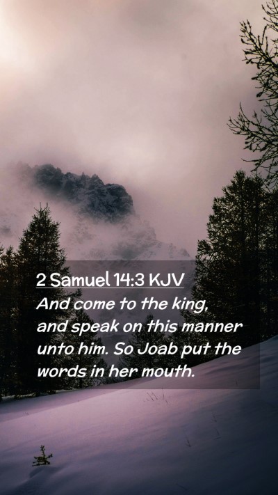 Picture 02 - 2 Samuel 14:3 KJV Mobile Phone Wallpaper - And come to the king, and speak on this manner - Mobile Bible Verse Wallpaper