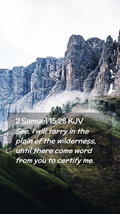 Picture 02 - 2 Samuel 15:28 KJV Mobile Phone Wallpaper - See, I will tarry in the plain of the wilderness, - Mobile Bible Verse Wallpaper