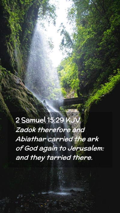 Picture 02 - 2 Samuel 15:29 KJV Mobile Phone Wallpaper - Zadok therefore and Abiathar carried the ark of - Mobile Bible Verse Wallpaper