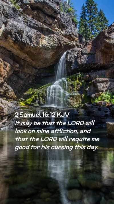 Picture 02 - 2 Samuel 16:12 KJV Mobile Phone Wallpaper - It may be that the LORD will look on mine - Mobile Bible Verse Wallpaper