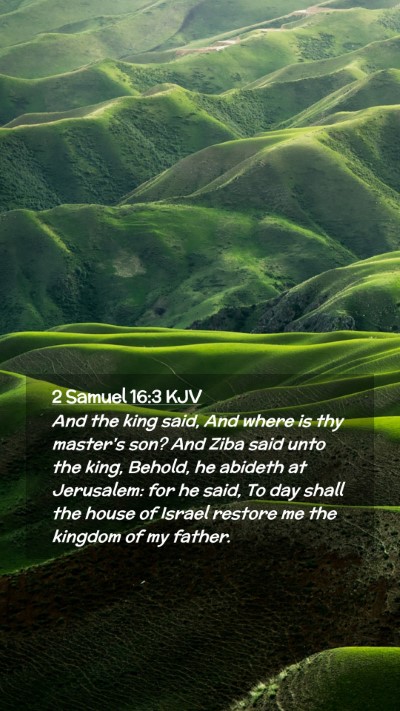 Picture 02 - 2 Samuel 16:3 KJV Mobile Phone Wallpaper - And the king said, And where is thy master's son? - Mobile Bible Verse Wallpaper