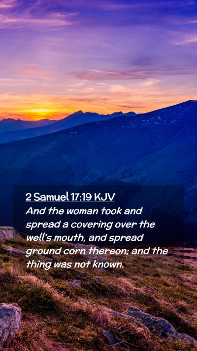 Picture 02 - 2 Samuel 17:19 KJV Mobile Phone Wallpaper - And the woman took and spread a covering over the - Mobile Bible Verse Wallpaper