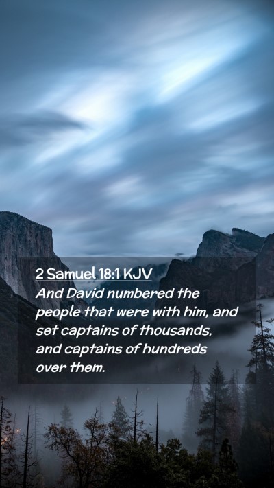 Picture 02 - 2 Samuel 18:1 KJV Mobile Phone Wallpaper - And David numbered the people that were with him, - Mobile Bible Verse Wallpaper