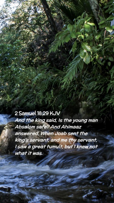 Picture 02 - 2 Samuel 18:29 KJV Mobile Phone Wallpaper - And the king said, Is the young man Absalom safe? - Mobile Bible Verse Wallpaper