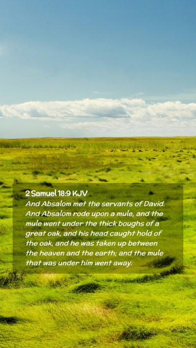 Picture 02 - 2 Samuel 18:9 KJV Mobile Phone Wallpaper - And Absalom met the servants of David. And - Mobile Bible Verse Wallpaper