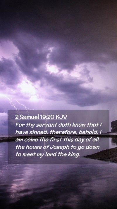 Picture 02 - 2 Samuel 19:20 KJV Mobile Phone Wallpaper - For thy servant doth know that I have sinned: - Mobile Bible Verse Wallpaper
