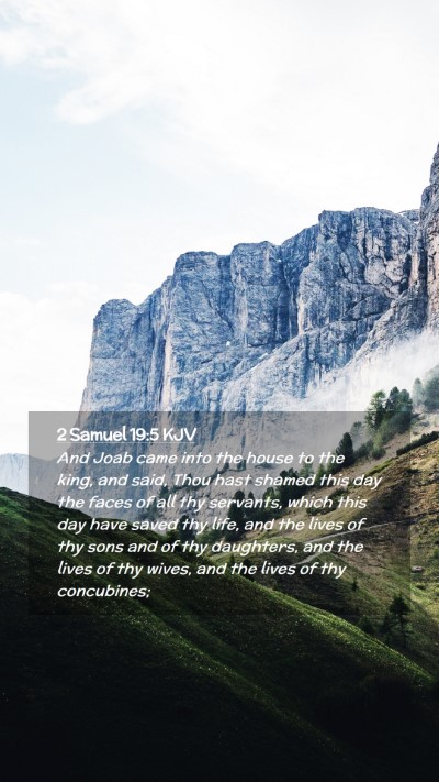 Picture 02 - 2 Samuel 19:5 KJV Mobile Phone Wallpaper - And Joab came into the house to the king, and - Mobile Bible Verse Wallpaper