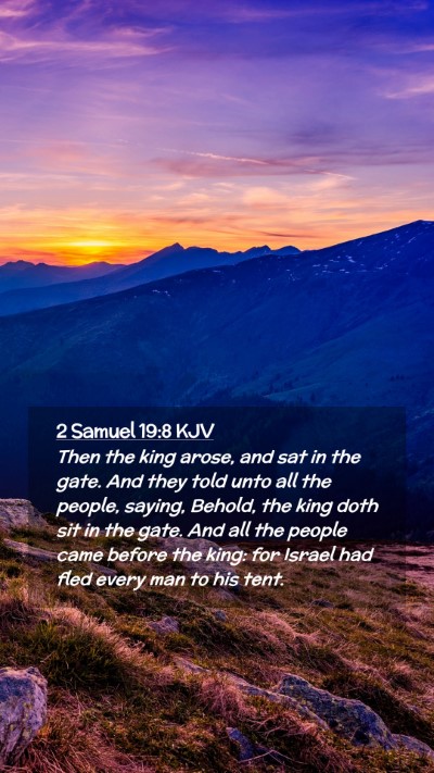 Picture 02 - 2 Samuel 19:8 KJV Mobile Phone Wallpaper - Then the king arose, and sat in the gate. And - Mobile Bible Verse Wallpaper
