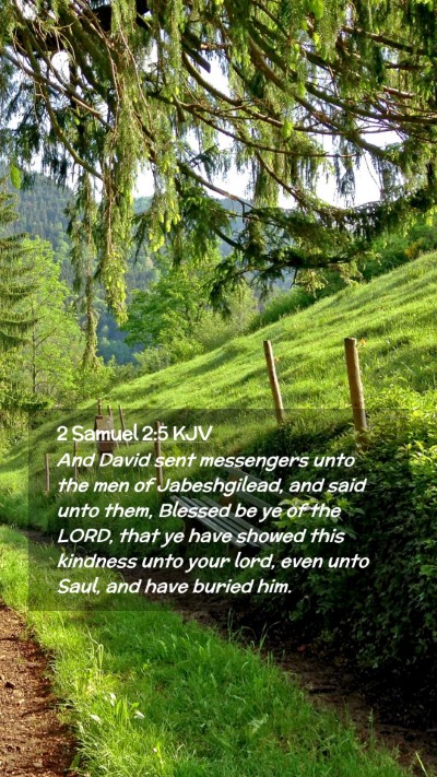 Picture 02 - 2 Samuel 2:5 KJV Mobile Phone Wallpaper - And David sent messengers unto the men of - Mobile Bible Verse Wallpaper