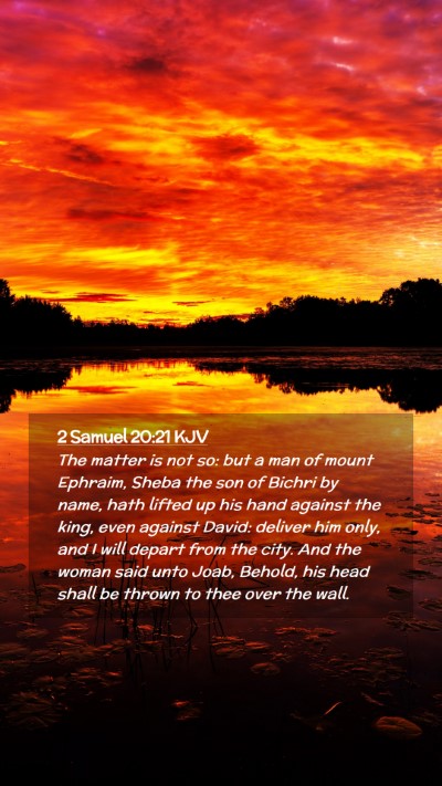 Picture 02 - 2 Samuel 20:21 KJV Mobile Phone Wallpaper - The matter is not so: but a man of mount Ephraim, - Mobile Bible Verse Wallpaper