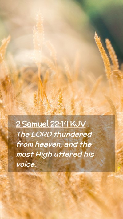 Picture 02 - 2 Samuel 22:14 KJV Mobile Phone Wallpaper - The LORD thundered from heaven, and the most High - Mobile Bible Verse Wallpaper