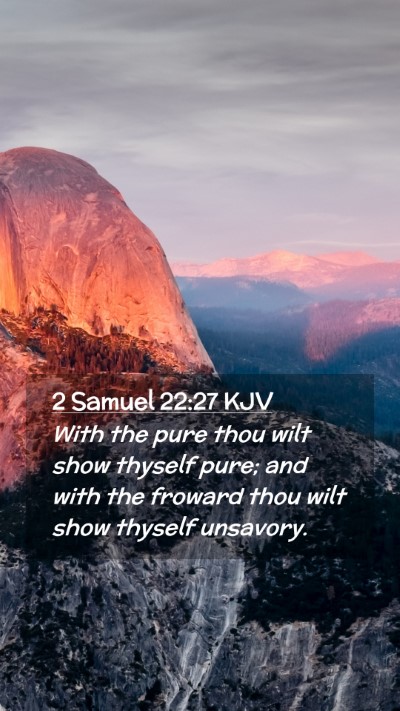 Picture 02 - 2 Samuel 22:27 KJV Mobile Phone Wallpaper - With the pure thou wilt show thyself pure; and - Mobile Bible Verse Wallpaper