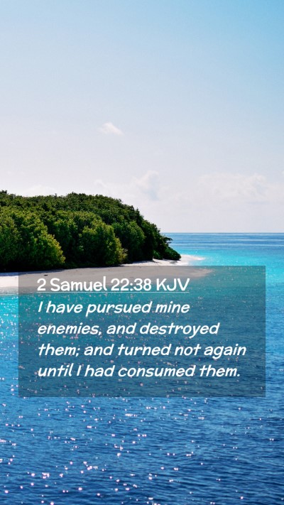 Picture 02 - 2 Samuel 22:38 KJV Mobile Phone Wallpaper - I have pursued mine enemies, and destroyed them; - Mobile Bible Verse Wallpaper