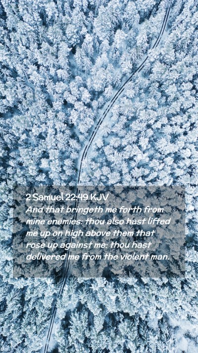 Picture 02 - 2 Samuel 22:49 KJV Mobile Phone Wallpaper - And that bringeth me forth from mine enemies: - Mobile Bible Verse Wallpaper