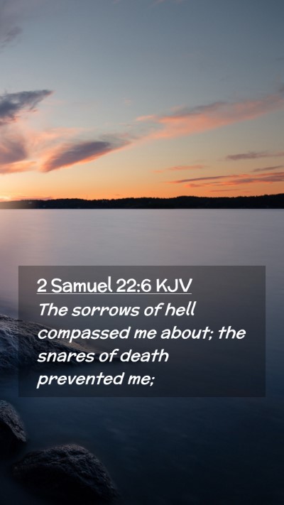 Picture 02 - 2 Samuel 22:6 KJV Mobile Phone Wallpaper - The sorrows of hell compassed me about; the - Mobile Bible Verse Wallpaper