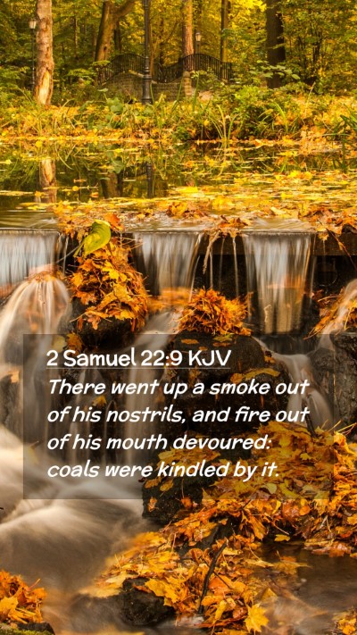 Picture 02 - 2 Samuel 22:9 KJV Mobile Phone Wallpaper - There went up a smoke out of his nostrils, and - Mobile Bible Verse Wallpaper