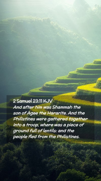 Picture 02 - 2 Samuel 23:11 KJV Mobile Phone Wallpaper - And after him was Shammah the son of Agee the - Mobile Bible Verse Wallpaper