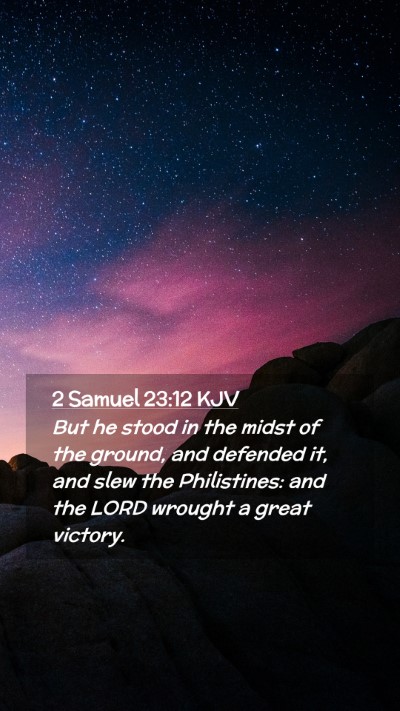 Picture 02 - 2 Samuel 23:12 KJV Mobile Phone Wallpaper - But he stood in the midst of the ground, and - Mobile Bible Verse Wallpaper
