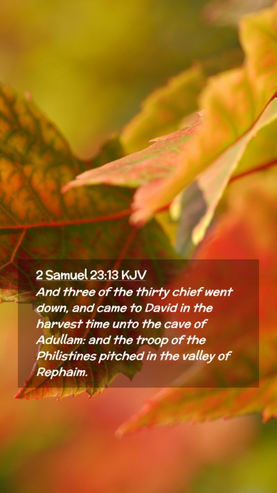Picture 02 - 2 Samuel 23:13 KJV Mobile Phone Wallpaper - And three of the thirty chief went down, and came - Mobile Bible Verse Wallpaper
