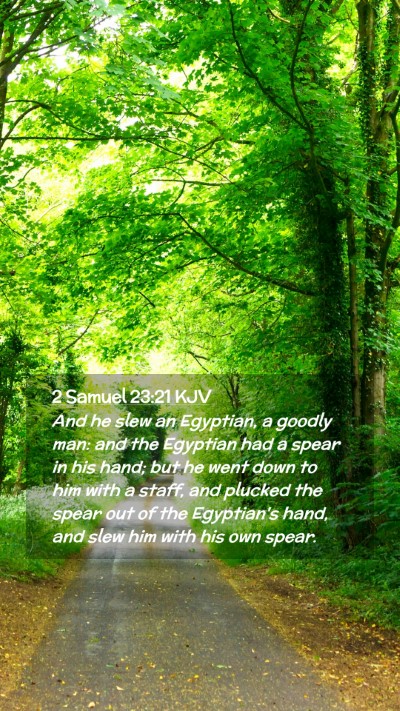 Picture 02 - 2 Samuel 23:21 KJV Mobile Phone Wallpaper - And he slew an Egyptian, a goodly man: and the - Mobile Bible Verse Wallpaper