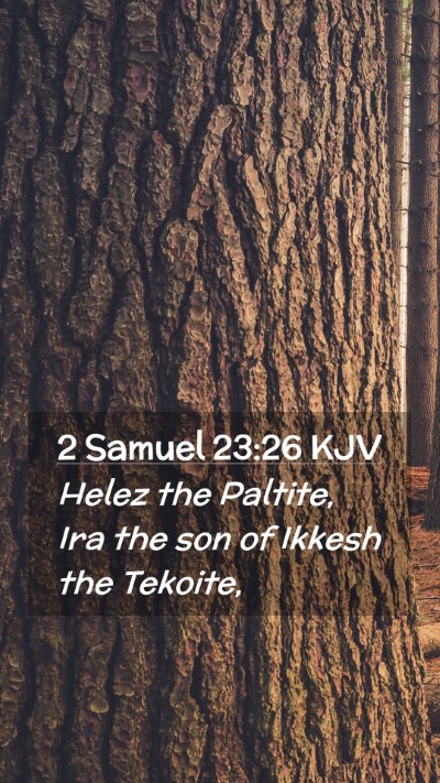 Picture 02 - 2 Samuel 23:26 KJV Mobile Phone Wallpaper - Helez the Paltite, Ira the son of Ikkesh the - Mobile Bible Verse Wallpaper