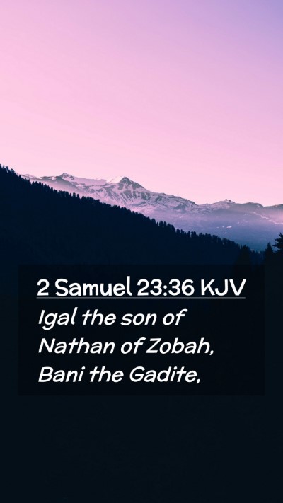 Picture 02 - 2 Samuel 23:36 KJV Mobile Phone Wallpaper - Igal the son of Nathan of Zobah, Bani the - Mobile Bible Verse Wallpaper
