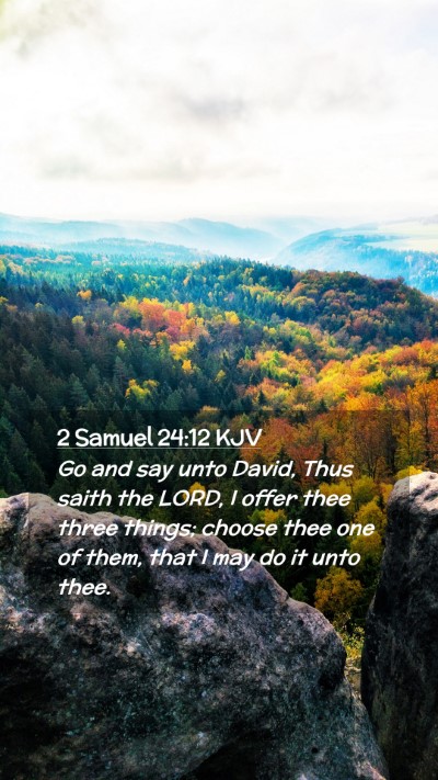 Picture 02 - 2 Samuel 24:12 KJV Mobile Phone Wallpaper - Go and say unto David, Thus saith the LORD, I - Mobile Bible Verse Wallpaper