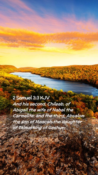 Picture 02 - 2 Samuel 3:3 KJV Mobile Phone Wallpaper - And his second, Chileab, of Abigail the wife of - Mobile Bible Verse Wallpaper