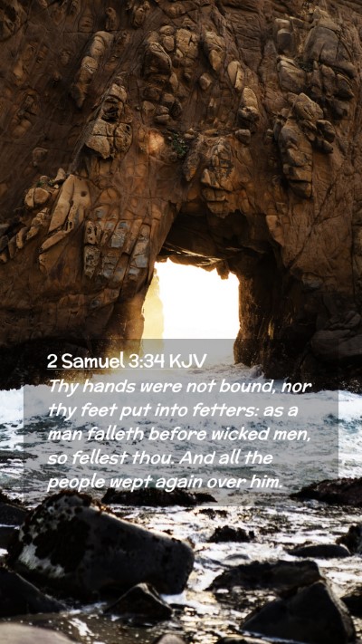 Picture 02 - 2 Samuel 3:34 KJV Mobile Phone Wallpaper - Thy hands were not bound, nor thy feet put into - Mobile Bible Verse Wallpaper